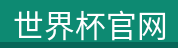 赛事级足球鞋系列